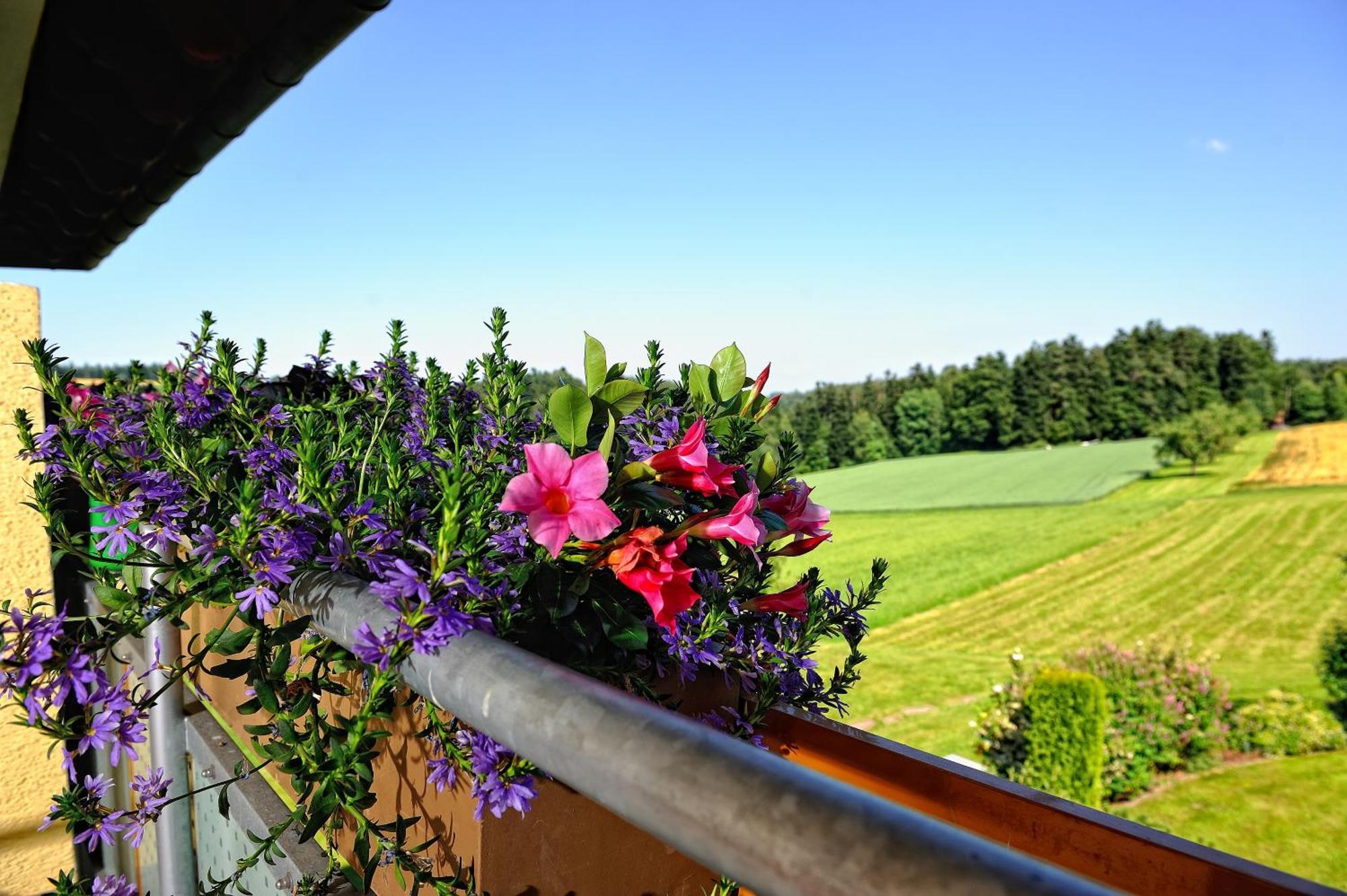 Landhotel Talblick Neuweiler  Екстериор снимка