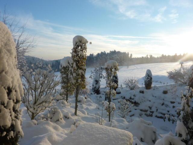Landhotel Talblick Neuweiler  Екстериор снимка